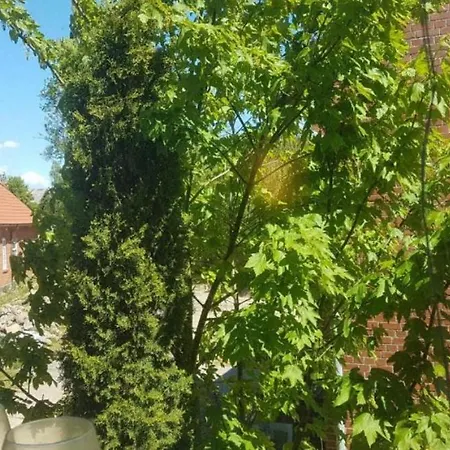 Lily-rose Сasa de vacaciones *